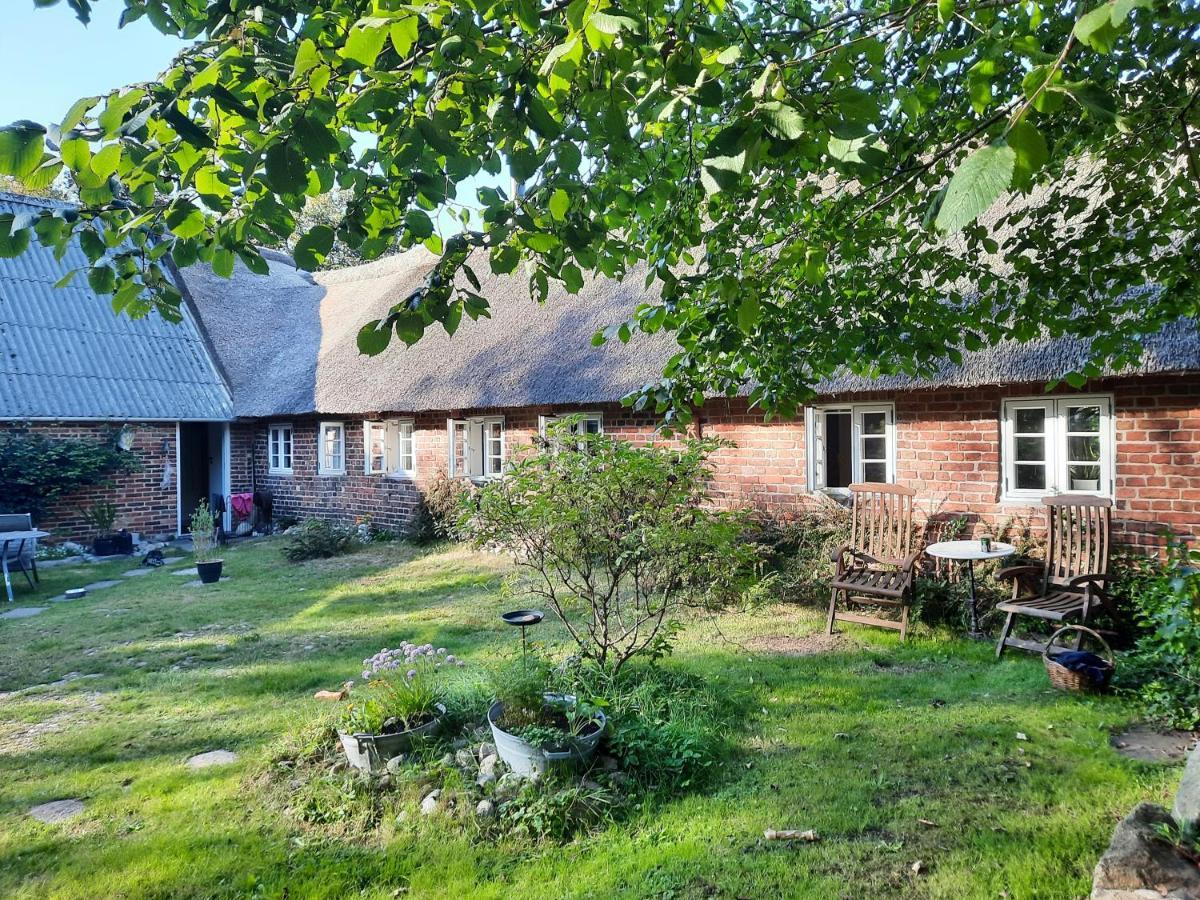Ringkobing Fjord B&B Skjern Exteriér fotografie